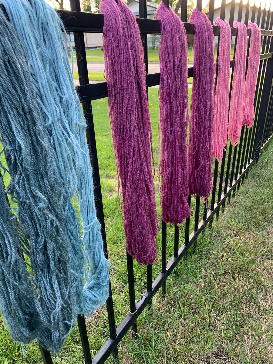 collzac's tweet photo. Grow natural dye plants in your garden: Flowers, stems, leaves, roots, bark, even onion skins can be used to dye yarn &amp; fabric. Make baskets with daylily leaves! Learn more: https://t.co/g08mZiiZSM

#plants #NaturalDye #textiles #artist #fabric  #flowers #colour #garden #gardener https://t.co/EYFwT38BZ6
