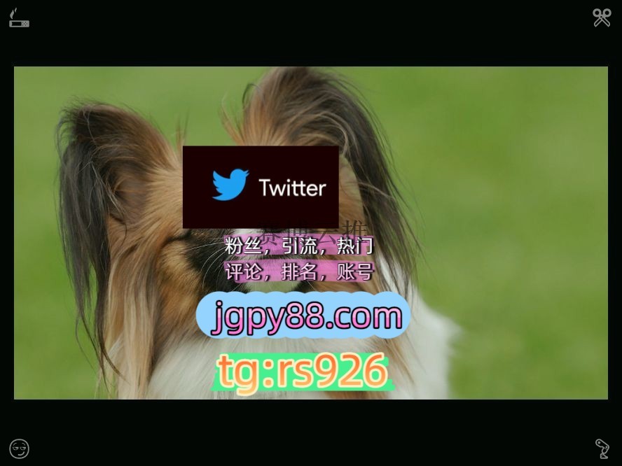 madiiila's tweet photo. Make someone feel joy each day.
代发上门外😺facebook世界杯
自动脚本推特账号点赞号银川
海外获客🌺互推助手🎌数字货币🍁批量发帖、多账号管理、推广营销围516854上热门
代发哈尔滨代发烟台   🌱客.服看→资.料
霸屏🪐群发私信💐海外获客🍀instagram🦟 https://t.co/wJ4YKS3eWC