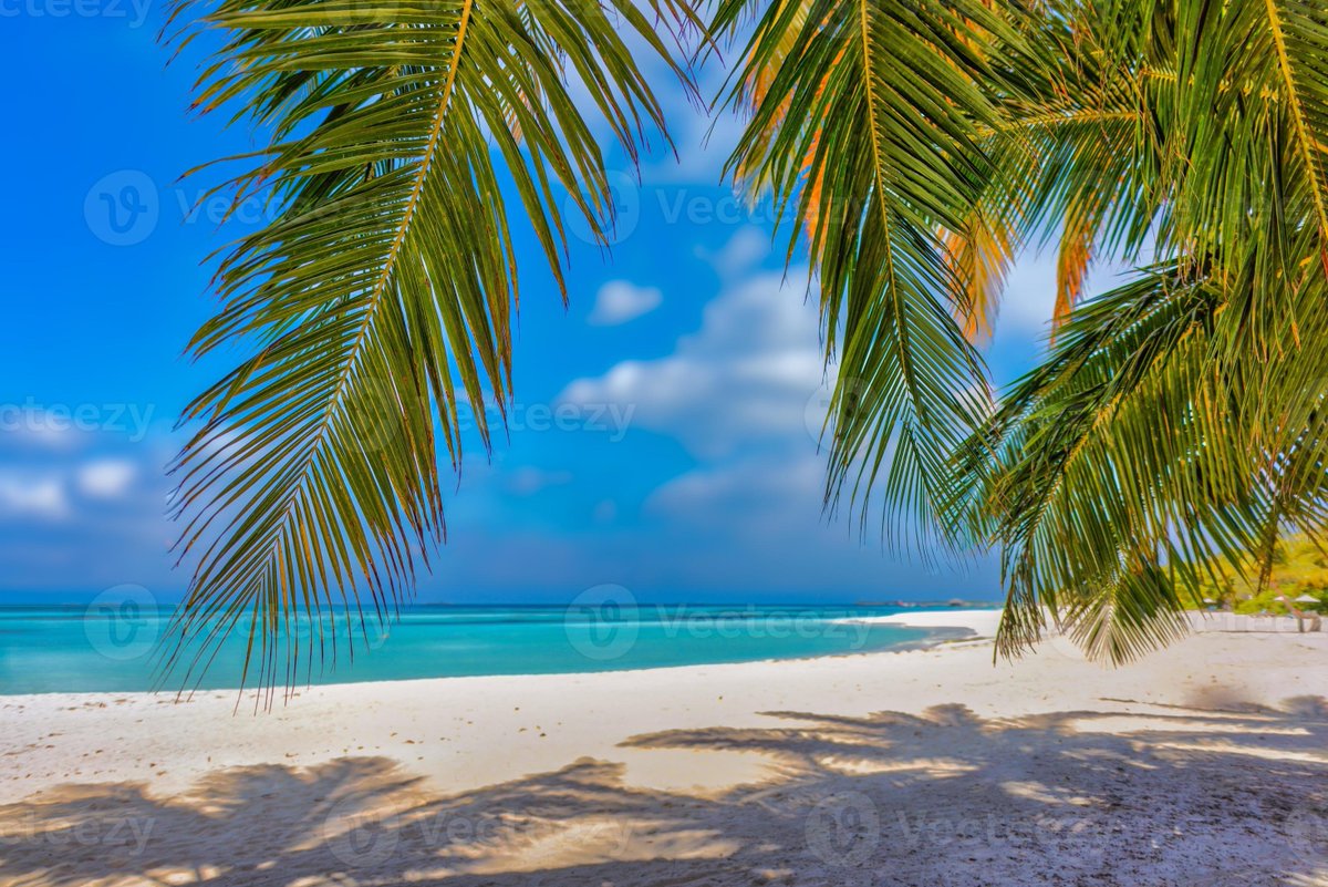 EmmaJohnso6au's tweet photo. #PaidPartnership #GoLIVEGrowFast #LIVEIncentiveProgram Hôi hì hôi đã quay trở lạiiiiiii #xuhuong #flypシ Đình Âm Nhạc https://t.co/zGM6NH9NT6