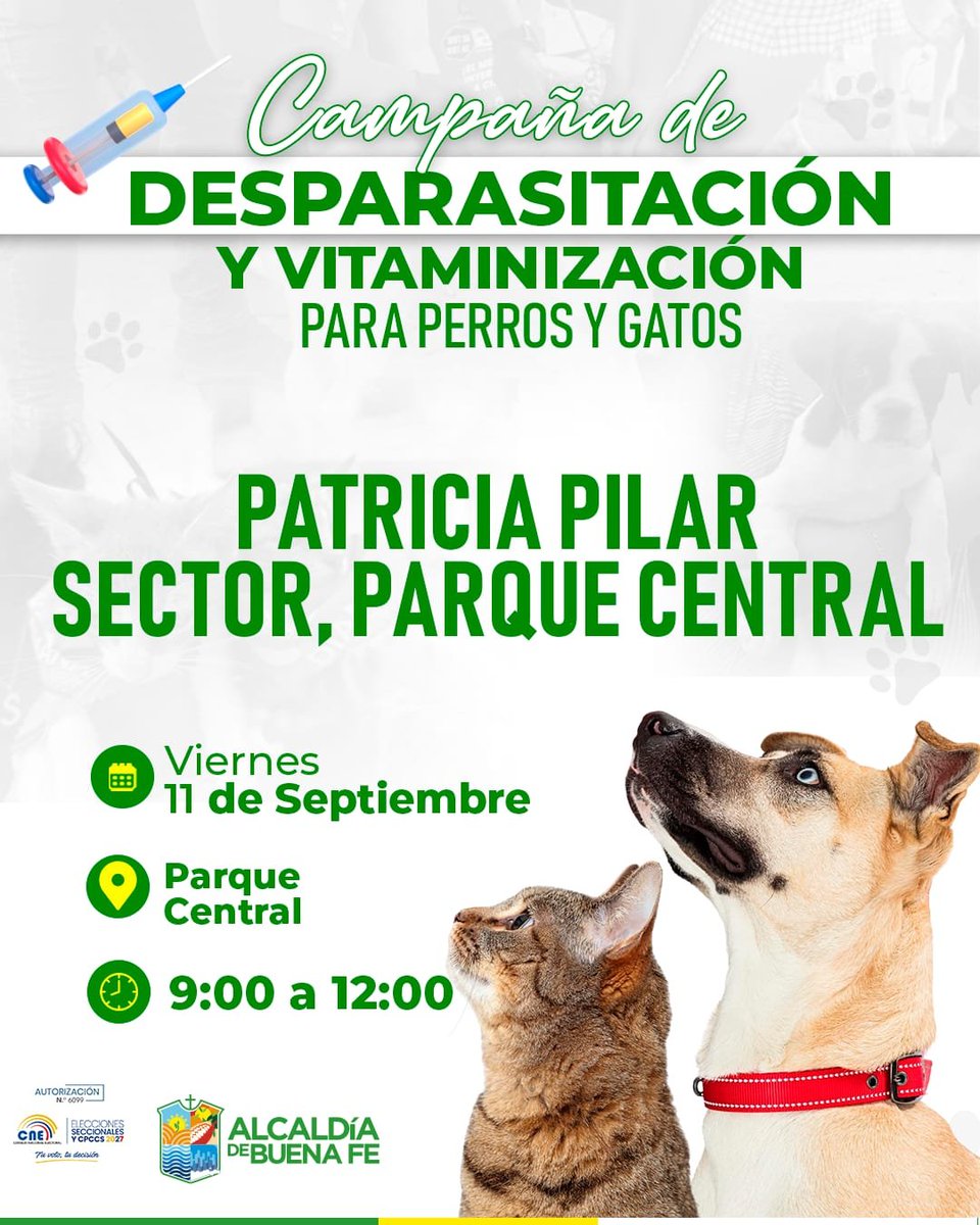 noticiasru593's tweet photo. 🚨 ATENTOS 🚨 

🟢🟡⚪️|CAMPAÑA DE DESPARASITACIÓN Y VITAMINIZACIÓN PARA PERROS Y GATOS 🐶🦊

📍PATRICIA PILAR sector:
Parque central.
🗓 Viernes 11 de septiembre 
🕘 09h00 a 12h00

Cuidemos la salud de nuestras mascotas.
¡Los esperamos!

#AlcaldíaDeBuenaFe https://t.co/f6XEhCGuDx