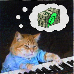 KeyCatRobinHood's tweet photo. @RobinHood100X @GWIMcoin i rather hold og keycat on robinhood that pays me in gme https://t.co/VZVoewMyOL