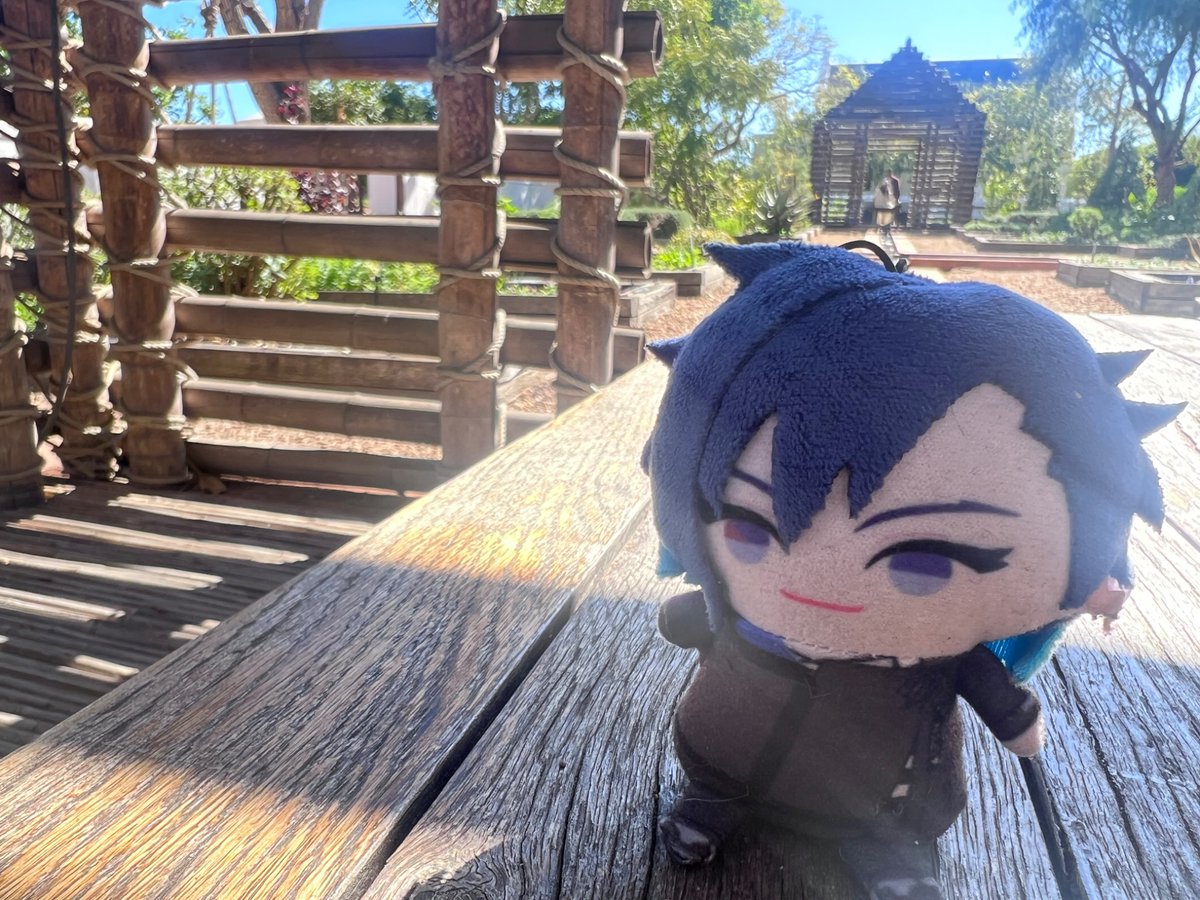 C0mputerM0use's tweet photo. There was a healing garden with plants that help different parts of the body 🌿
Something tells me Yugo could use these throat herbs 😉 https://t.co/hbZEmKiRpS