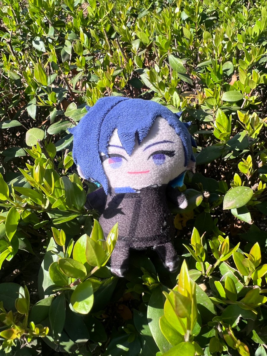 C0mputerM0use's tweet photo. There was a healing garden with plants that help different parts of the body 🌿
Something tells me Yugo could use these throat herbs 😉 https://t.co/hbZEmKiRpS