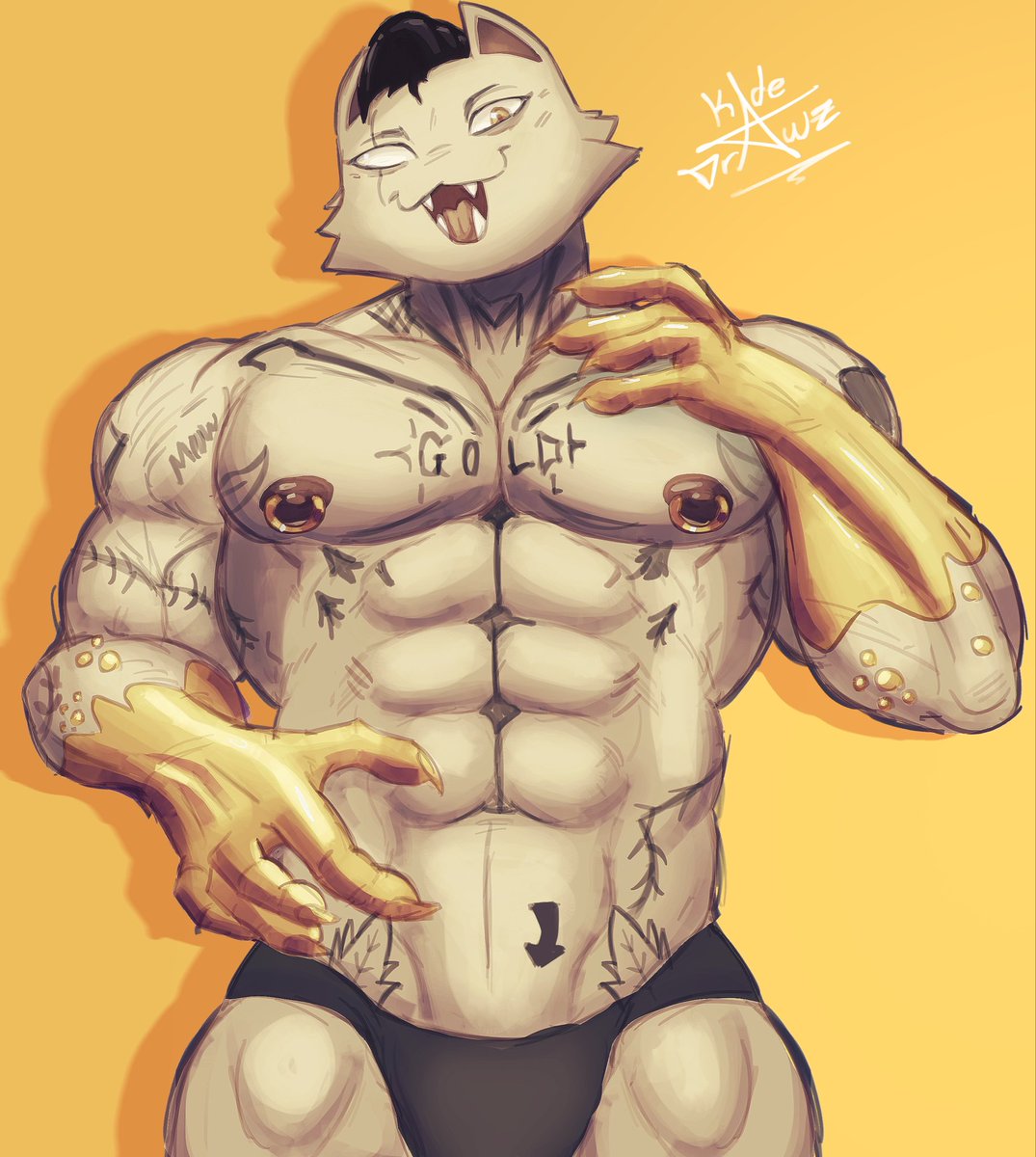 Nastybluemutt's tweet photo. ✨Meowdas golden touch✨ https://t.co/Ne2qkTWmf2
