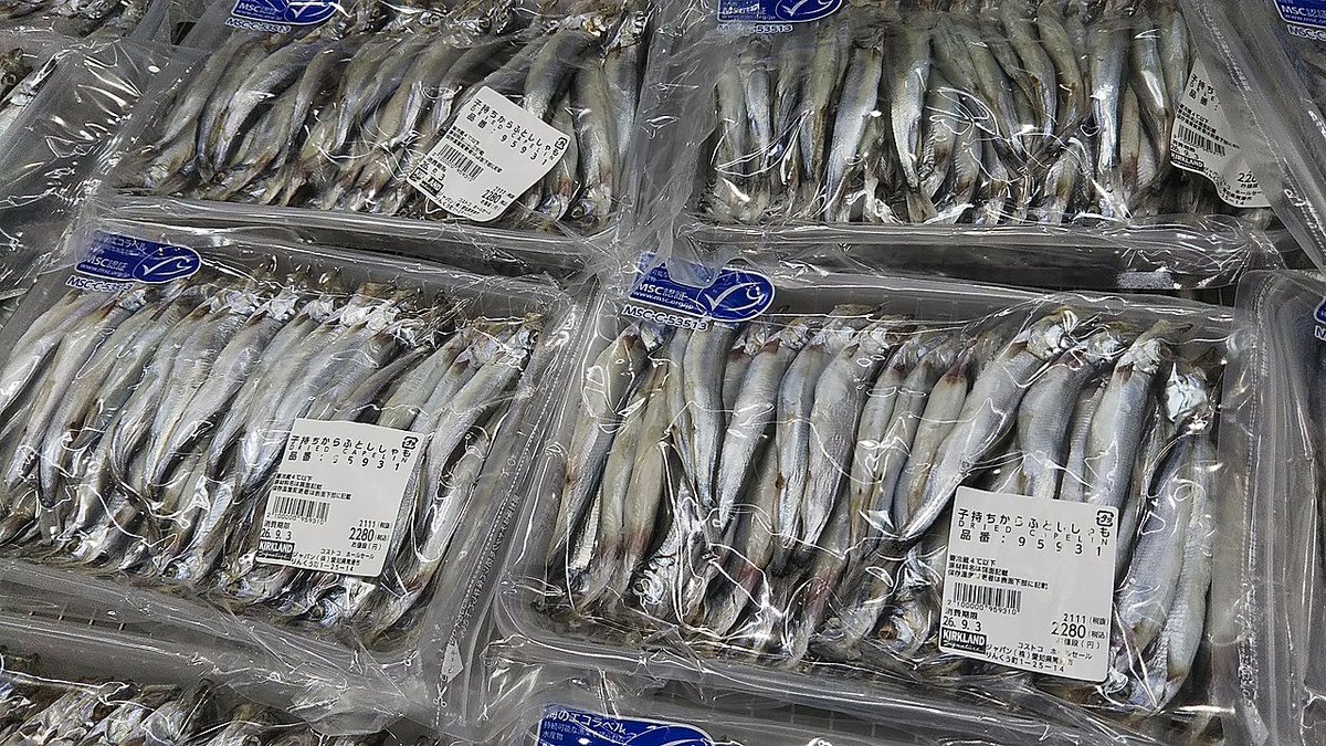 Lychee_kanroni's tweet photo. コストコ 中部空港 倉庫店　その７

魚 さんま 蒲焼 さば するめいか ししゃも https://t.co/XMdvPQRfYR