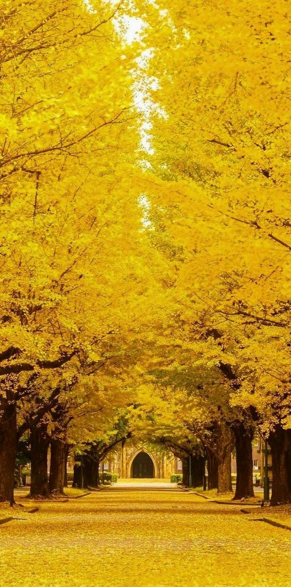 manon87's tweet photo. 片付けたはずなのに、また靴下が増えるのはなぜ？
これっていつ使うの？」と悩む物が目に入るたび、一人暮らしの難しさを実感する。 https://t.co/5xiY6ewHGi