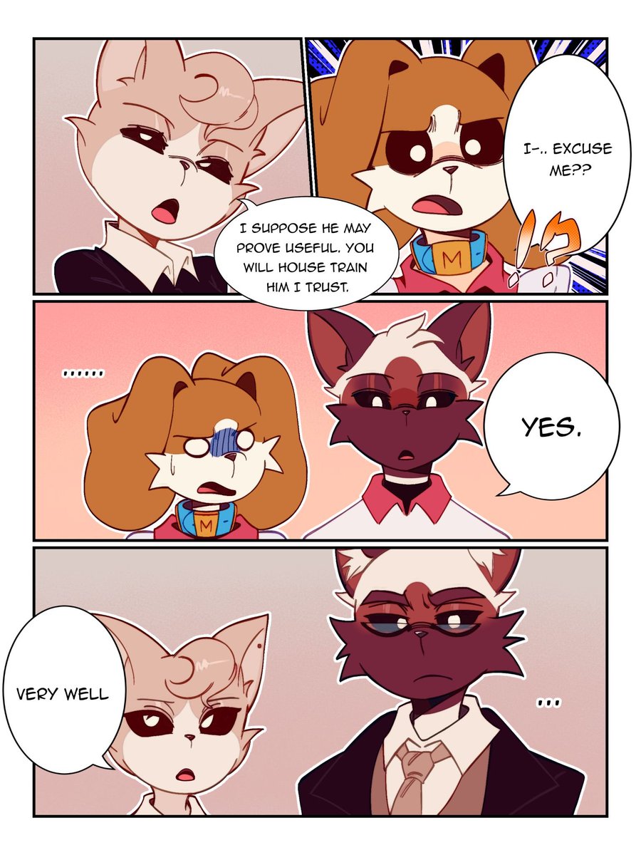 DevilshDonut's tweet photo. First impressions 🐶🐱x🐱🐱

Drawn by the wonderful @EmpDey 💕💕

I can't thankyou enough for all you do~ 
(5/5 in comments) 
#smilingcritterocs https://t.co/gUuBuhoEs1