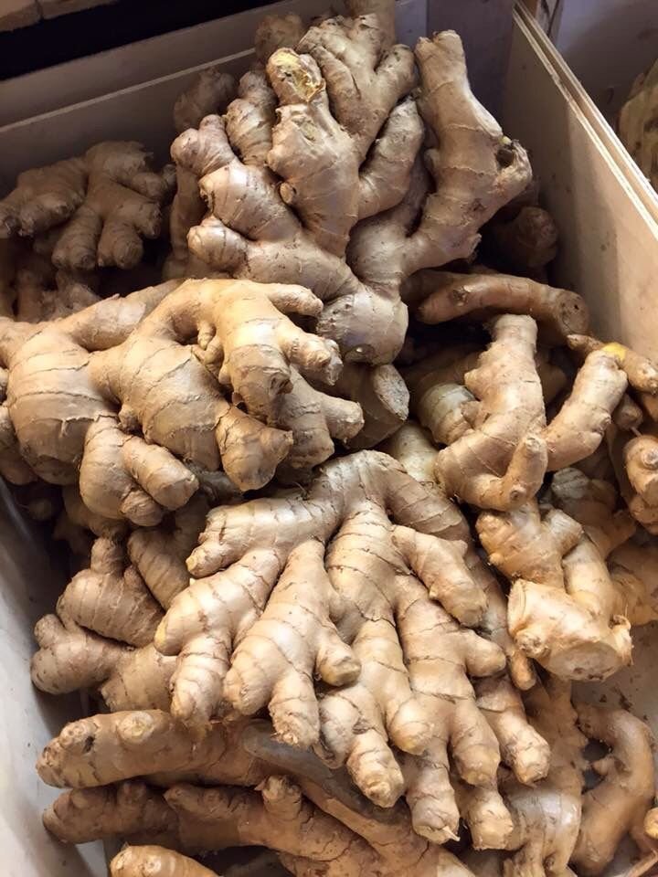 AvaBennettqk's tweet photo. People keep guessing, but no one gets it right. Do you know what this is? https://t.co/TrPuR3i5yy