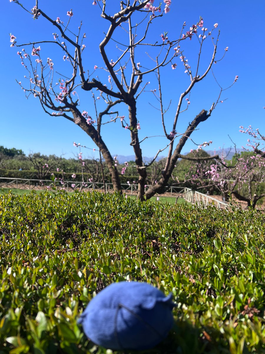 C0mputerM0use's tweet photo. While we were quite busy during the trip, making the most out of the days we were there, I’m glad there was some time to relax inbetween it all🏖️ https://t.co/7xJDYsI4kw