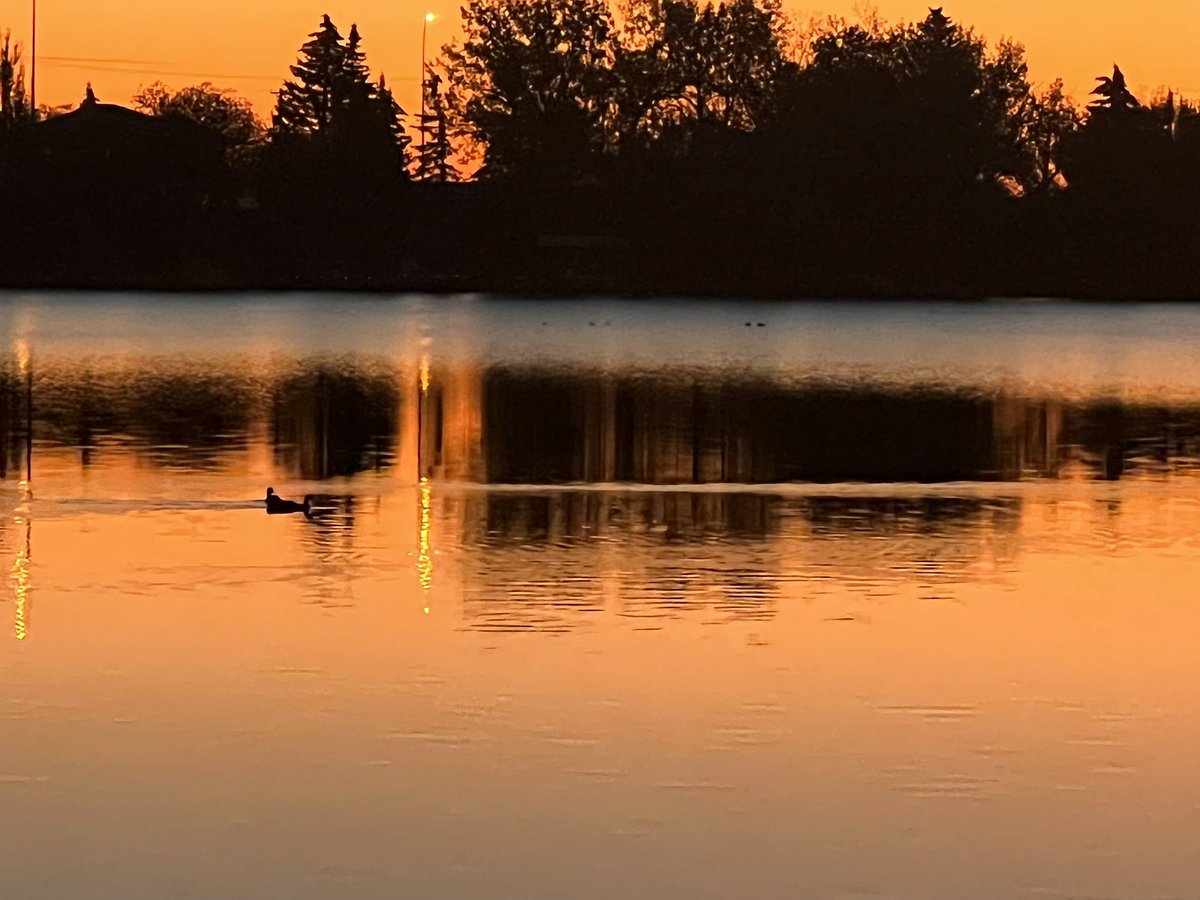 Ghostfromthepa4's tweet photo. @creja34 Chestermere Alberta Canada https://t.co/f2ASDPApkO