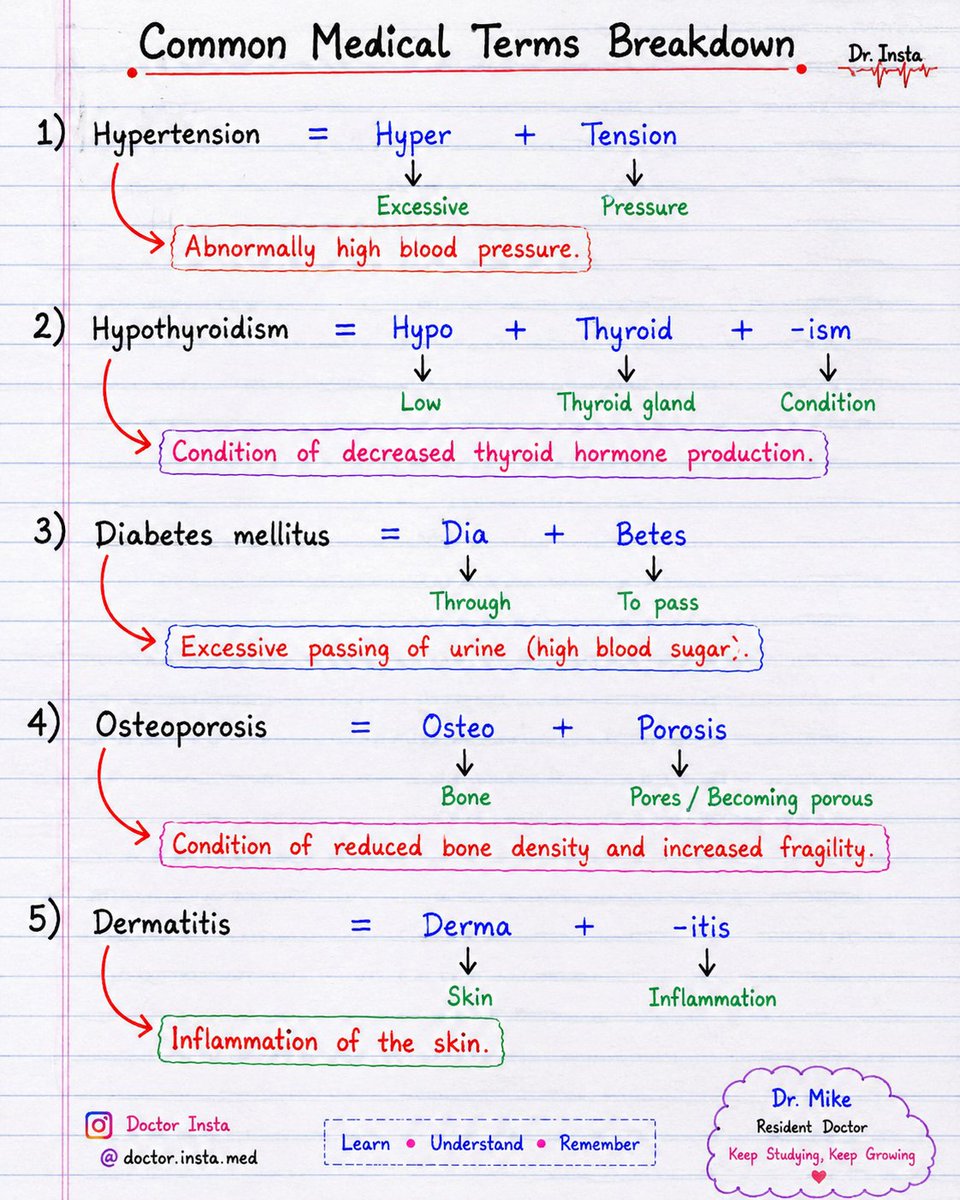 doctorinstaha's tweet photo. Common Medical Terms Breakdown.
#Medicine #Medical #MedEd #Doctors #Health #Anatomy #Pharmacology #Diagnosis #DoctorInsta https://t.co/s9Jv9aUyVc