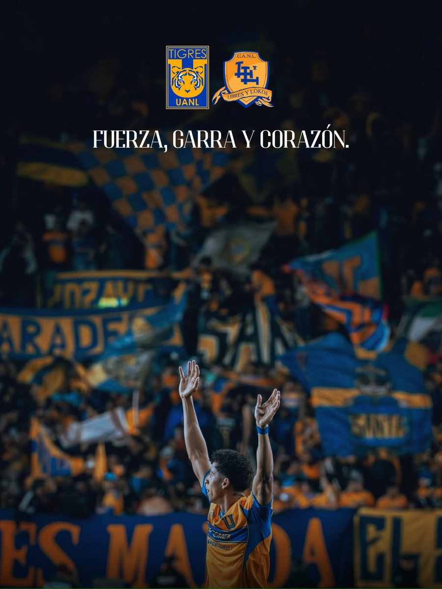 LIBRESYLOKOS's tweet photo. Excelente noche de tribuna para la hinchada de Tigres, aliento a full todo el partido, sabemos que eso suma de verdad.
Con Fuerza Garra y Corazón podemos sacar el resultado.🇸🇪🌋

Esta hinchada NO abbvandona… https://t.co/N00OjRZXQ9
