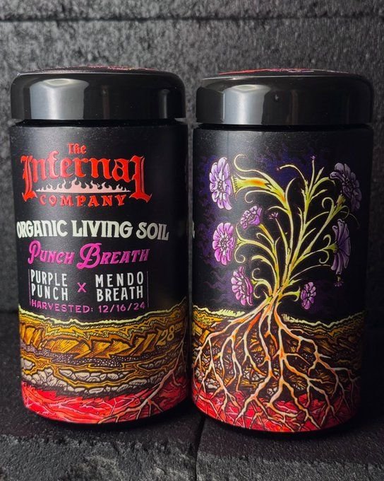 RealHighSociety's tweet photo. The Infernal Company - Premium Cannabis Jars (7g)

Punch Breath 
(Purple Punch x Mendo Breath)

Available in Stock - Slide In https://t.co/ZALjTBQIw0 https://t.co/7vuyjRSK83