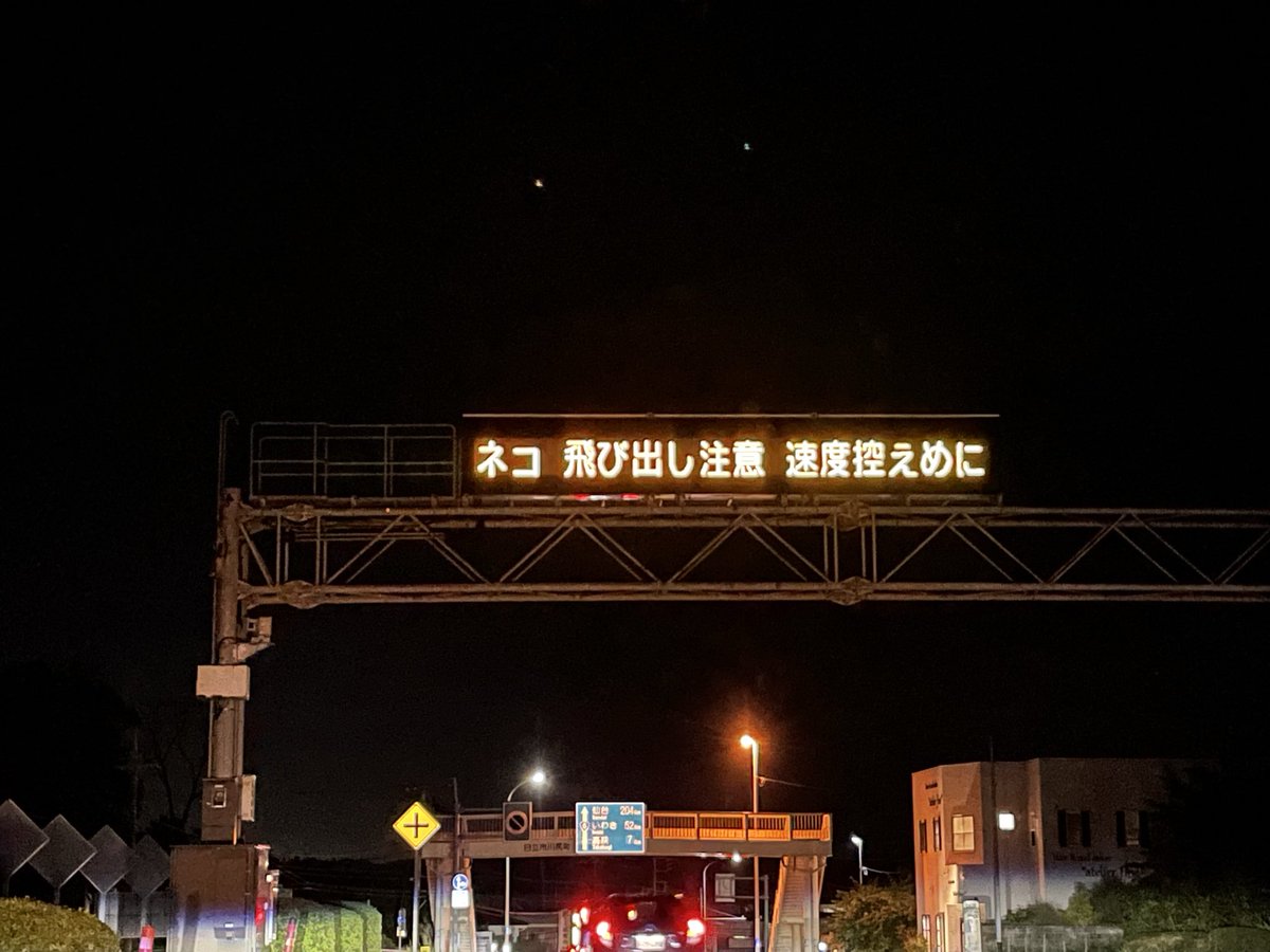 SuperHitachi's tweet photo. 初めて見た『ネコ 飛び出し注意』。
確かに通し番帰りにネコが道路の真ん中に座ってて(飛び出してないw)ビビったがw。 https://t.co/bqfEoYS6qi