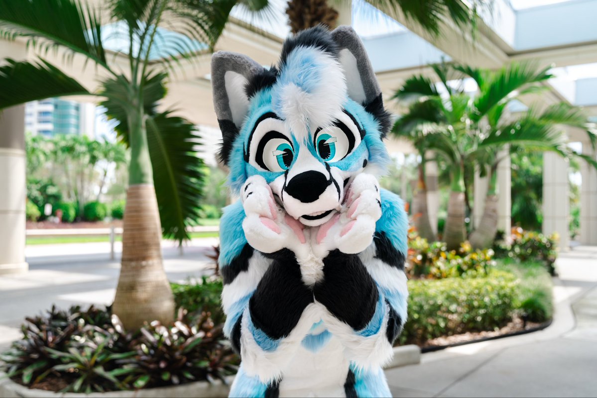 CybrFur tweet picture