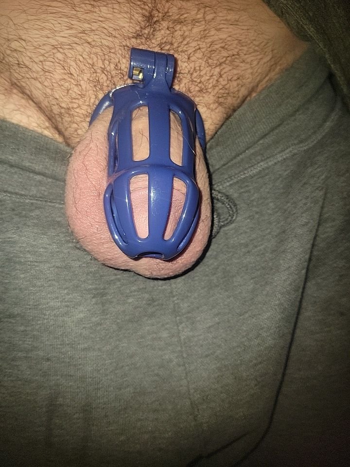 TabooCandy's tweet photo. I love a matching cock cage https://t.co/iRtcRns1Ha