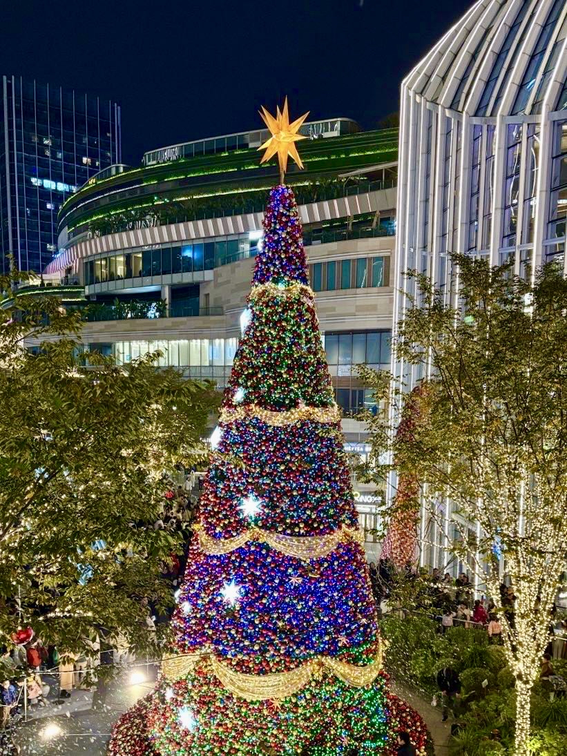 AzraOzerfx7z's tweet photo. Bright festive lights, warm cocoa in hand, and that perfect holiday vibe—grateful for these little joyful moments with the ones I love! , https://t.co/rv6pQCAK8Y
