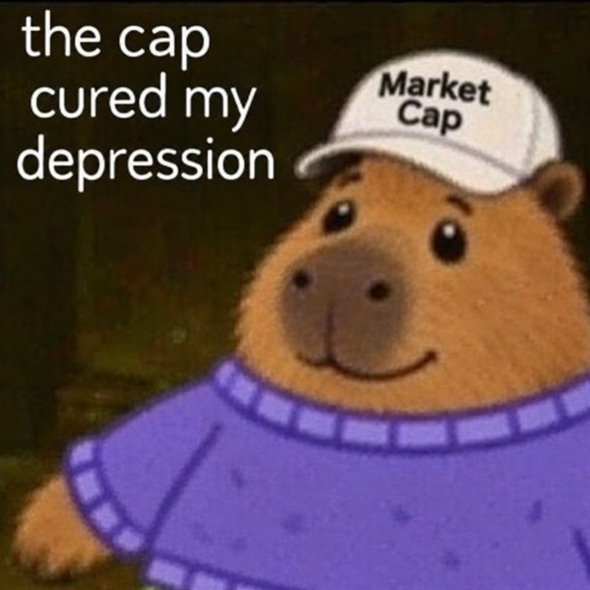 marketcap_rh's tweet photo. we love the cap https://t.co/LOEEVnu6es