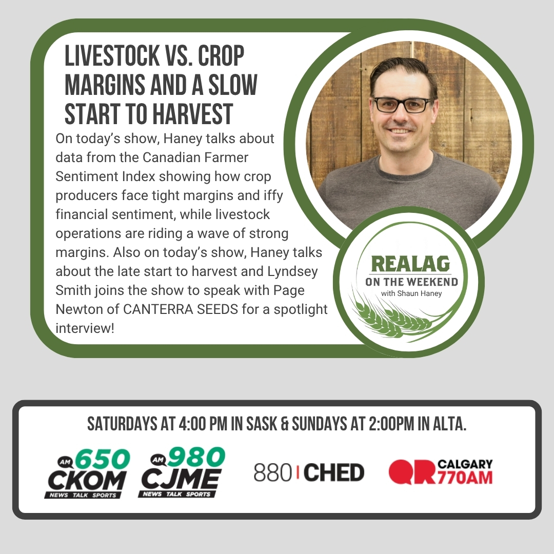realagriculture's tweet photo. Don't miss this week's edition of #RealAgWeekend with your host @shaunhaney. Tune in today at 4 pm in Saskatchewan on @CKOMNews @CJMENews #cdnag #saskag #westcdnag https://t.co/zf2dDPPN08