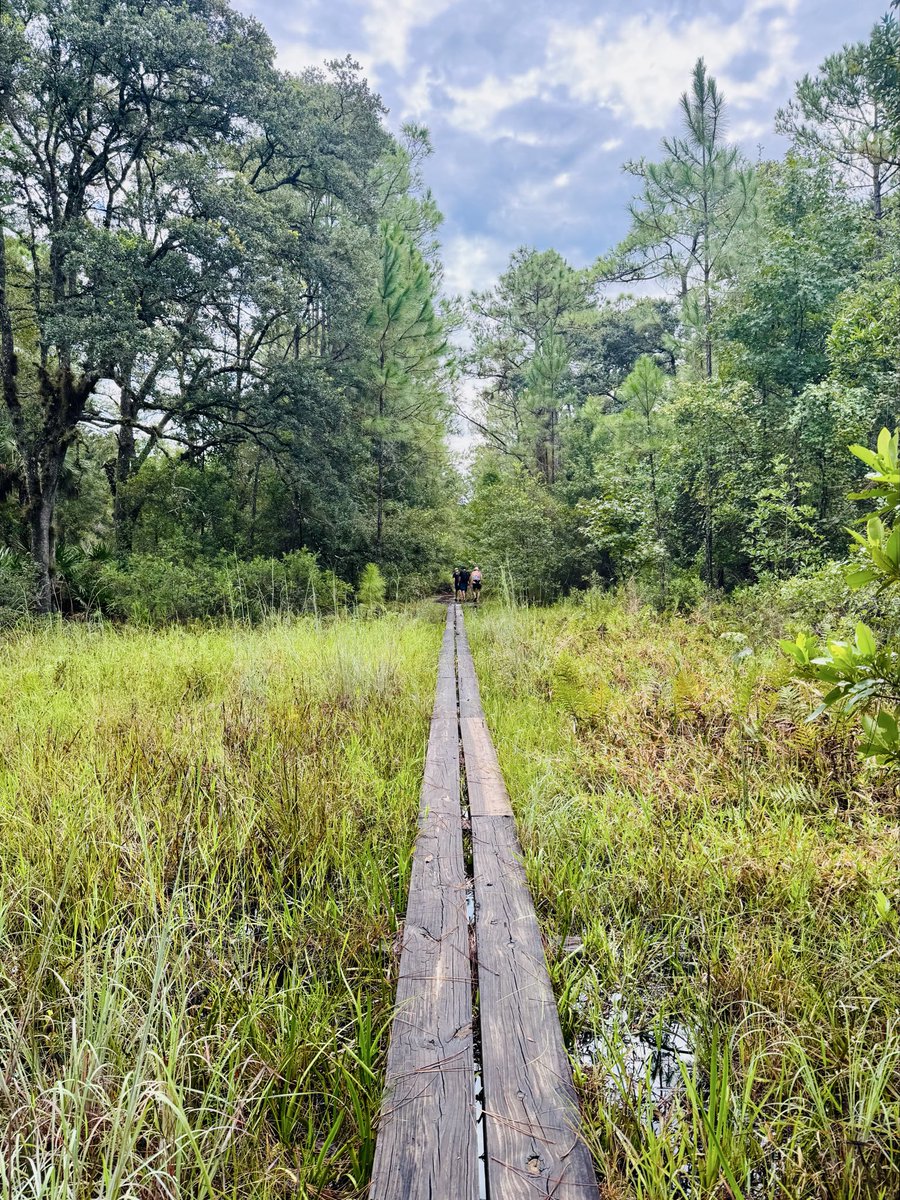 dolbyl's tweet photo. “The clearest way into the Universe is through a forest wilderness.”
-John Muir 🌳🦌
#optoutside #getoutside #lovefl #nature #naturephotography #floridatrails https://t.co/SFS9FuR3Xc