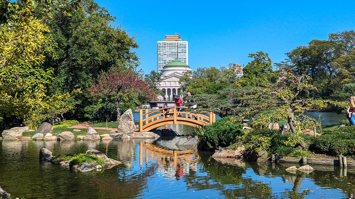 Hack4Wilson's tweet photo. @chii19 Let me know the next time you are in town, happy to show you around!

Have you seen the garden of the phoenix in Jackson park? https://t.co/icJXSJncde