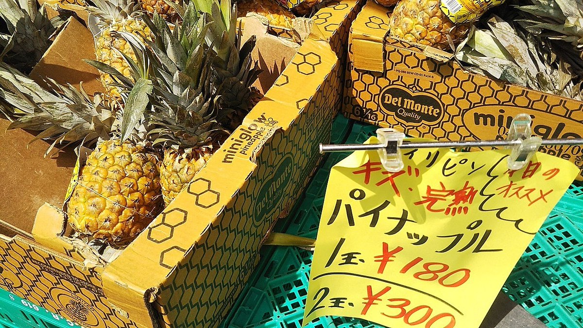 housui_pudding's tweet photo. キンブル みよし店　その２

野菜 果物 にんじん パイナップル もも ゴーヤ https://t.co/KeK7KQV1BN