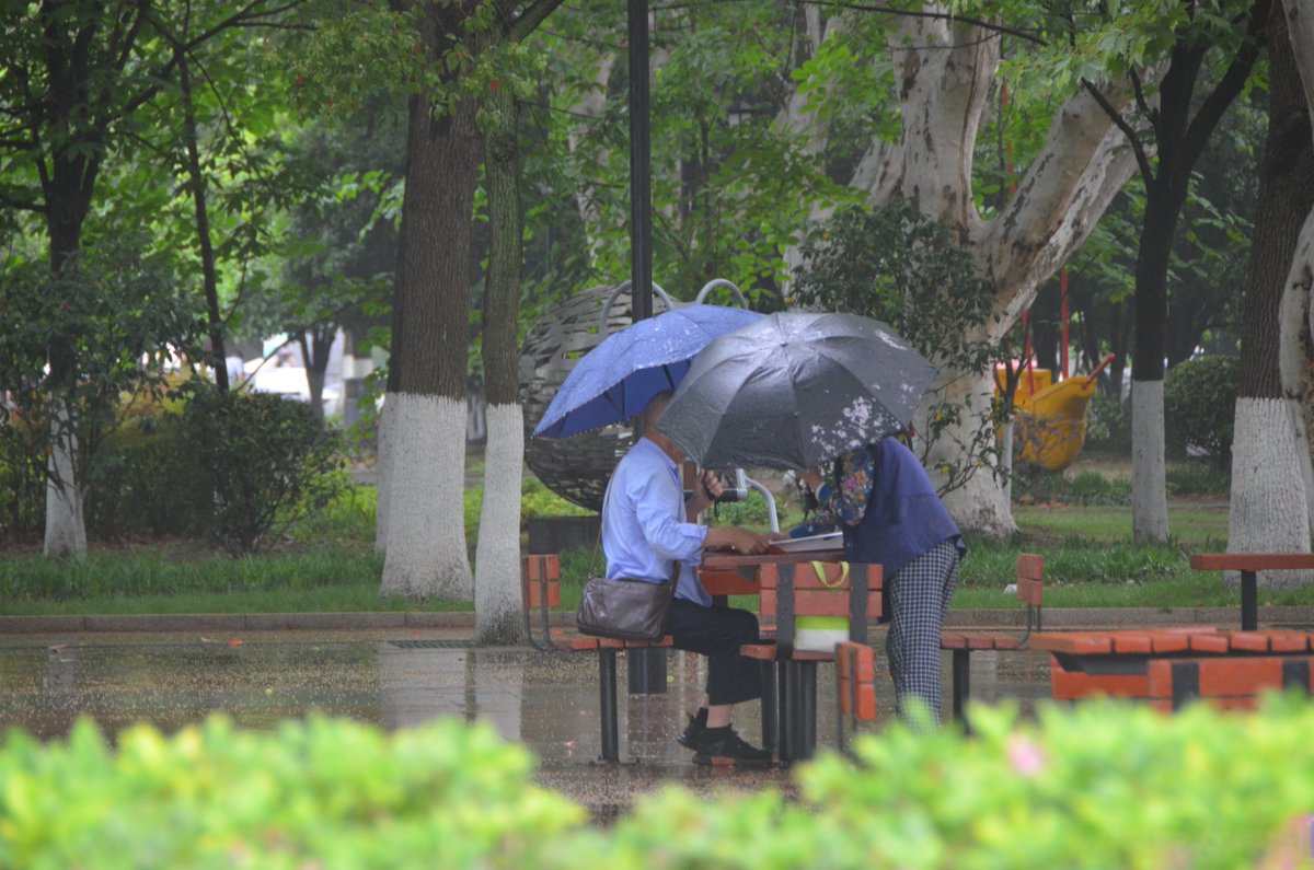 ZizaElliz's tweet photo. A stranger handed me an extra umbrella when it suddenly poured this morning—small act, big warmth, making my whole day. https://t.co/oLBcv7tDT9