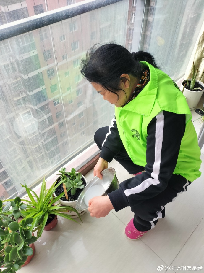 JenelleWilv1's tweet photo. Got up at 5 a.m. to water my small balcony garden today, instead of scrolling my phone till noon. Turns out tiny changes bring such big peace! https://t.co/yV67nVYxUf