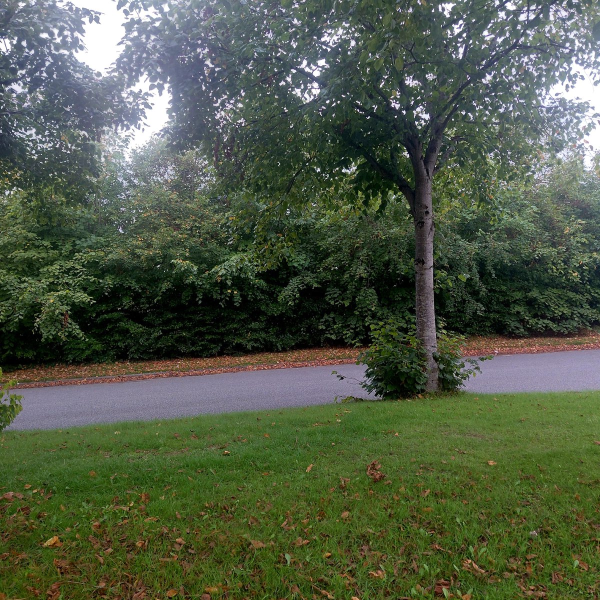 ZoeMillerAuthor's tweet photo. A little dull and grey after some brief sunshine this evening, but thankfully it was still warm. Spot the bird! #200daysofwalking #round6crew #300daysofwalking https://t.co/B0hQt8MA4c
