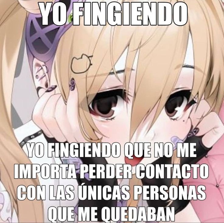 nekowiiwi's tweet photo. https://t.co/qY1bHCetR3