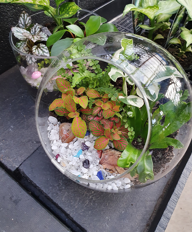taylerjade's tweet photo. Just turned an old glass jar into a cute succulent planter with some sand and pebbles! Small DIY, big vibe upgrade for my desk ， https://t.co/z0v9vUZuj0