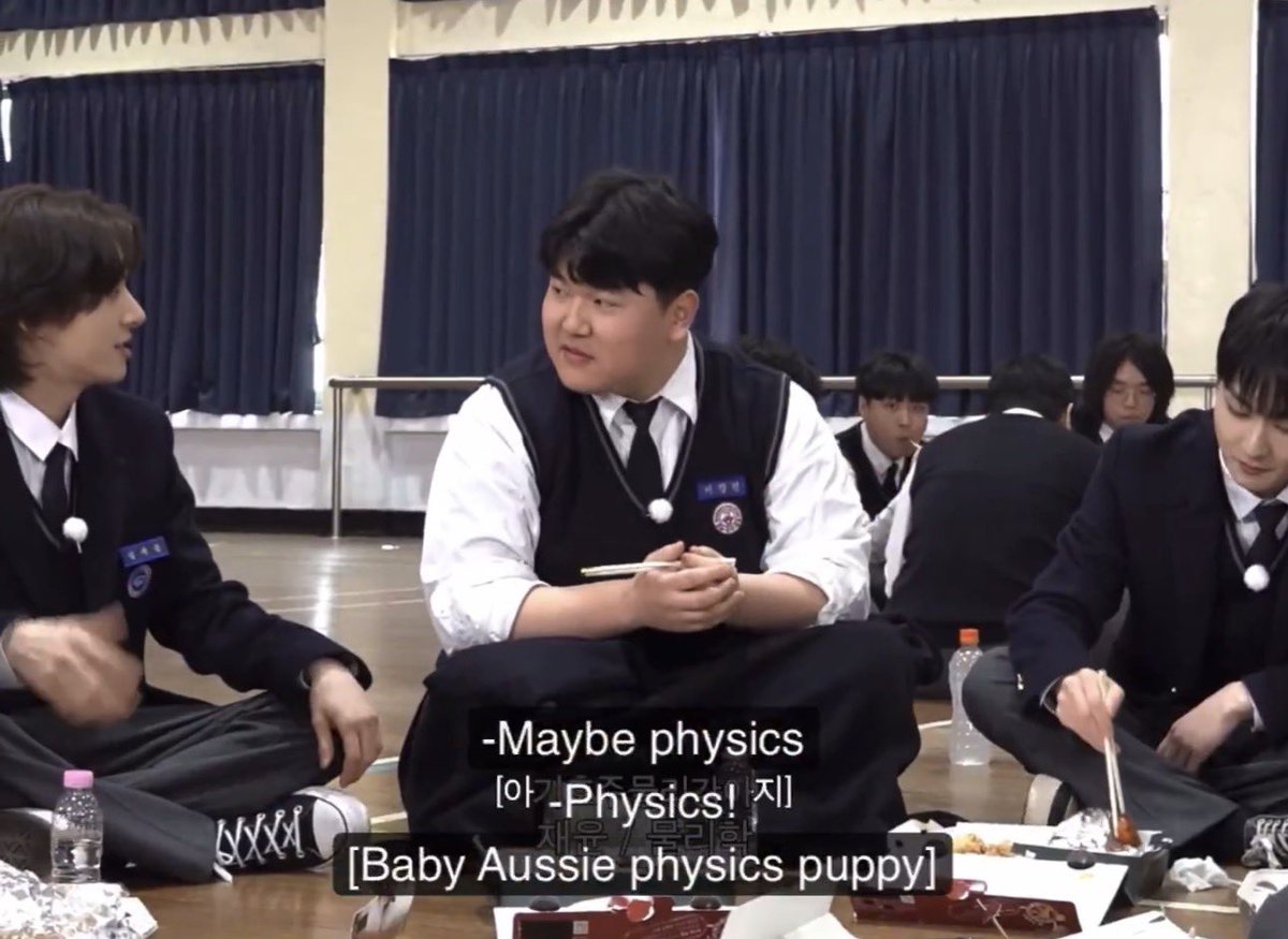 badforikeu's tweet photo. jake’s interest in physics and engineering and maths is so sweet to me because he talks about it so passionately and it’s clear he has such a pure love of Learning in every aspect of his life [Baby Aussie physics puppy] https://t.co/NxK0rJD7jG