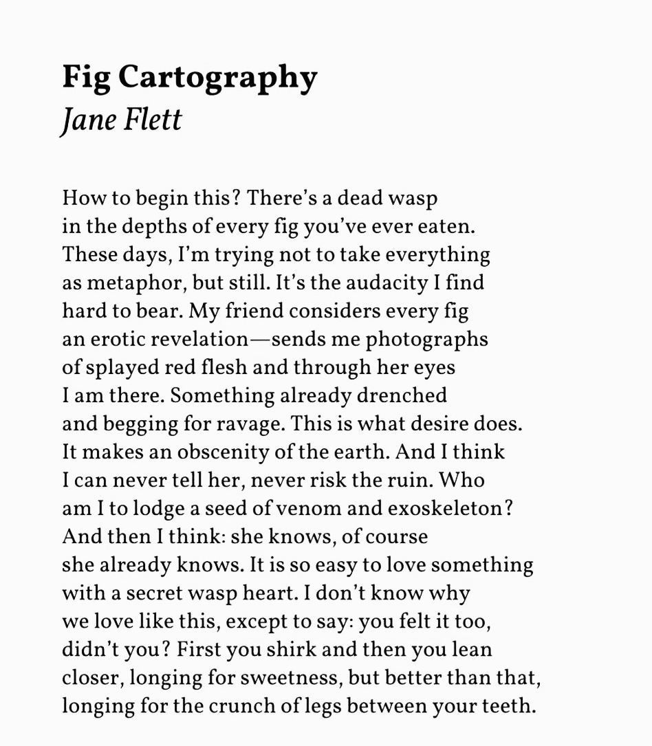 onlypoemsmag's tweet photo. I don't know why we love like this, except to say: 

you felt it too, didn't you? https://t.co/00jkSN5xA0