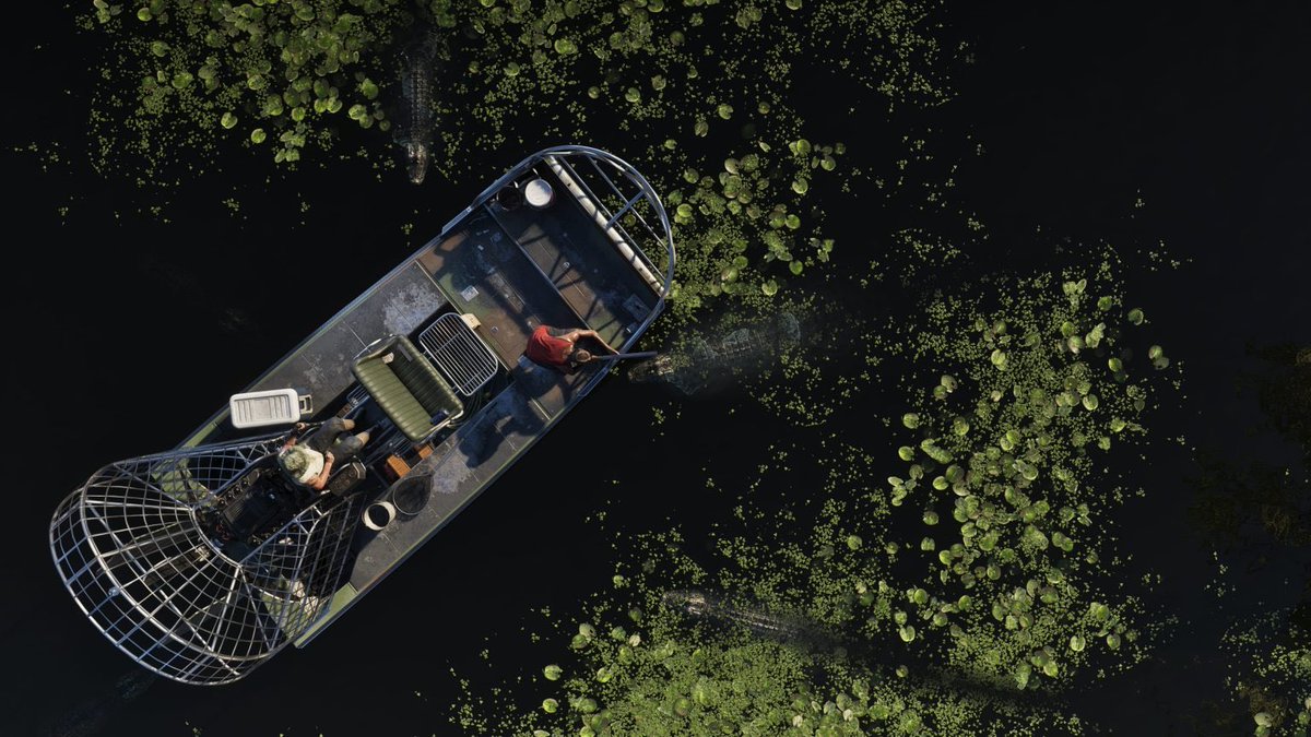 MehdiQLN's tweet photo. Le niveau de détail est complètement fou. #GTA6 #GTAVI #RockstarGames #ViceCity https://t.co/ANPL4qzCTq