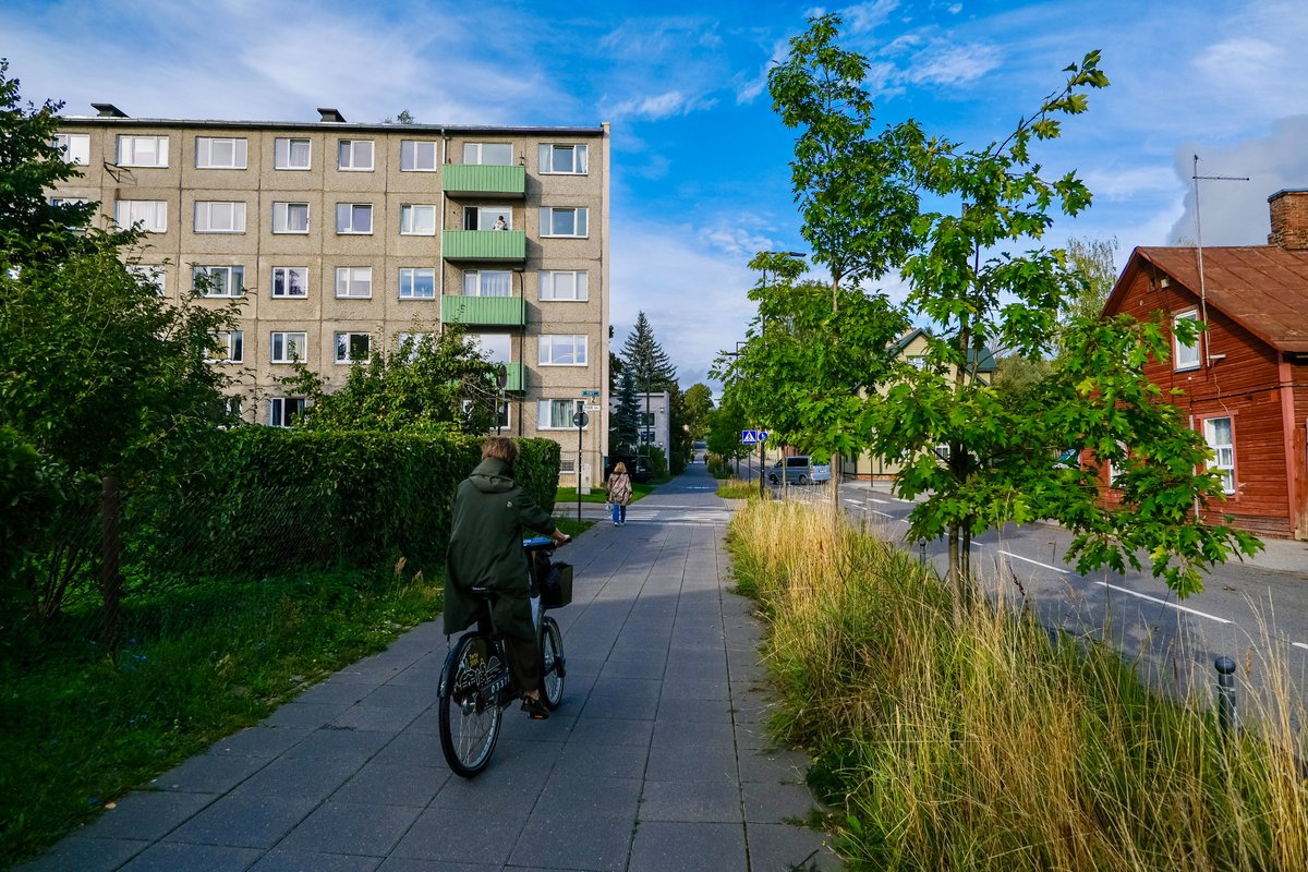 Cyclists in casual autumn attire ride along dedicated cycling infrastructure lined with buildings and trees on the streets of Tallinn, Estonia.