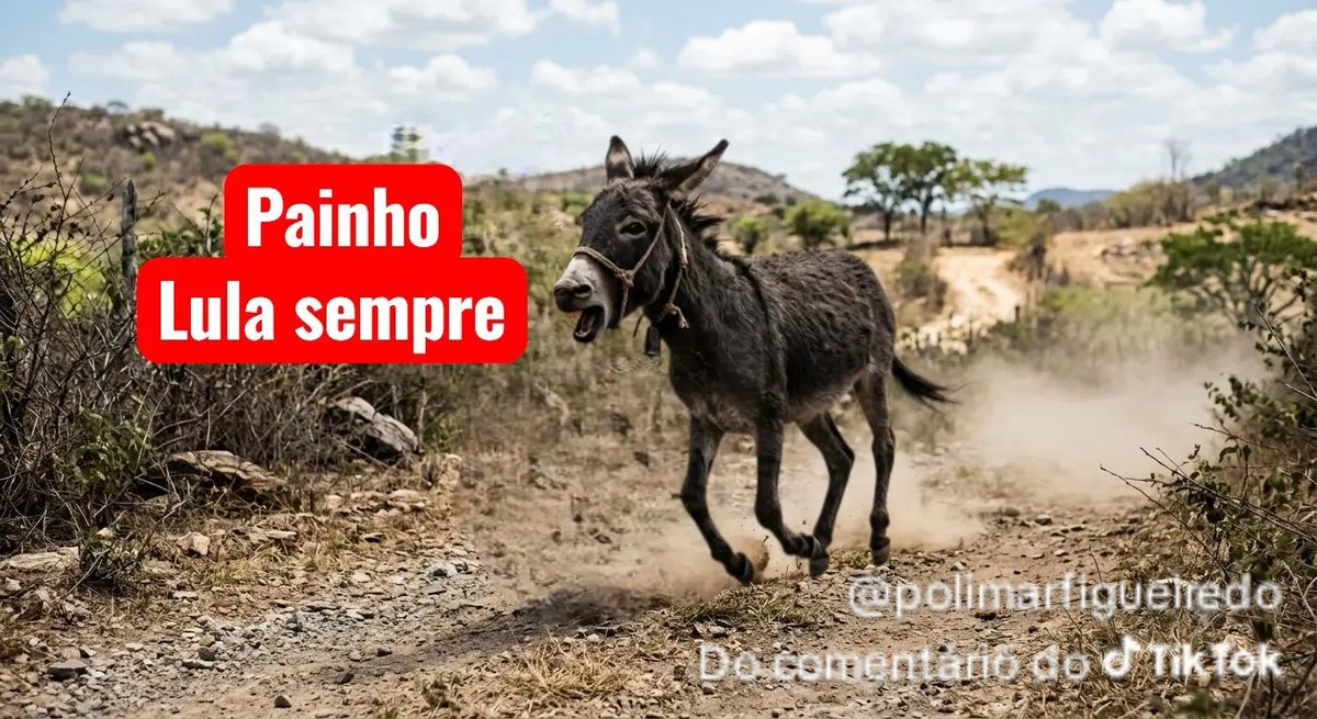 guedes29562's tweet photo. @lucasapaulino https://t.co/Hzb4uIvXQ3