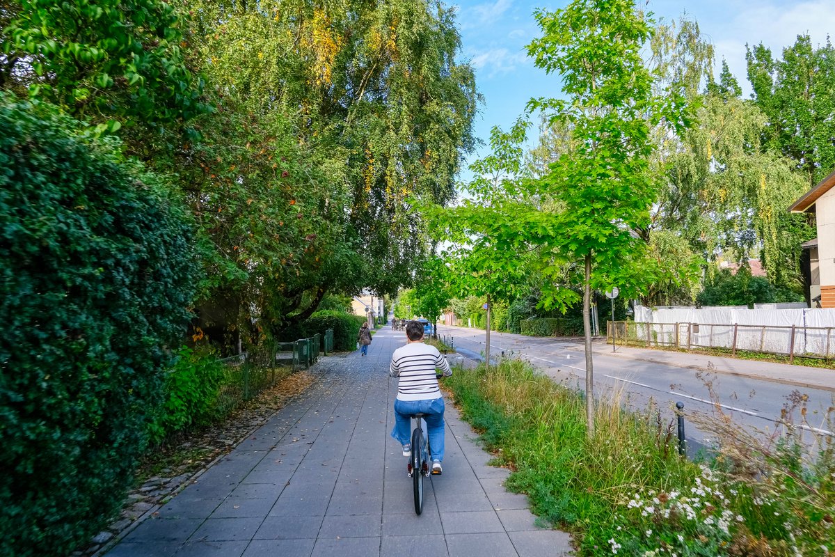 Cyclists in casual autumn attire ride along dedicated cycling infrastructure lined with buildings and trees on the streets of Tallinn, Estonia.