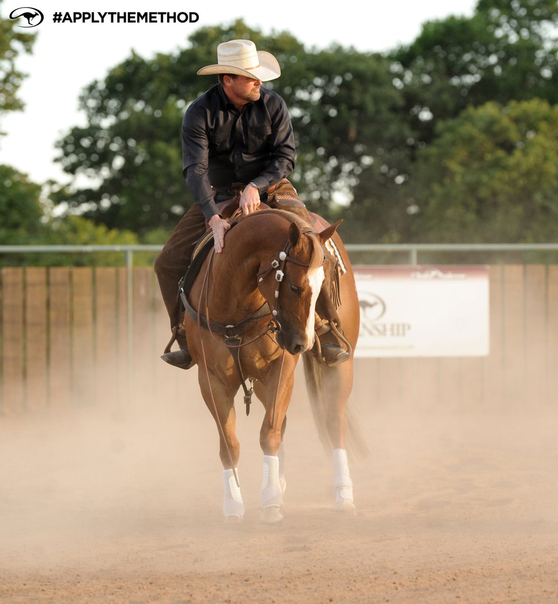 DownunderHorse's tweet photo. Just like us, horses can get burnt out and develop bad attitudes ➡️ https://t.co/nUodKlMJx0
#ApplyTheMethod https://t.co/NZjLqIzmZC