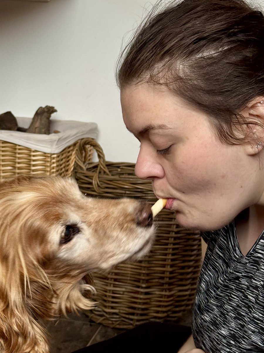 SpanielsSuper's tweet photo. @Eddiemammy101 @runtime714 I love it when mum cups my face in her hands & kisses me all over my face & head #MillionKisses
#BatLovesKisses
I love it when dad & HuSis kiss me too
#KissyBoy https://t.co/tS3Q2qjzmD