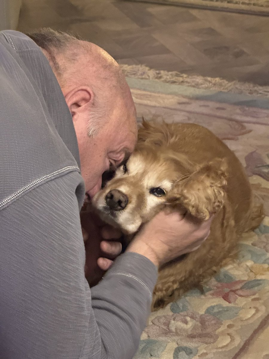 SpanielsSuper's tweet photo. @Eddiemammy101 @runtime714 I love it when mum cups my face in her hands & kisses me all over my face & head #MillionKisses
#BatLovesKisses
I love it when dad & HuSis kiss me too
#KissyBoy https://t.co/tS3Q2qjzmD