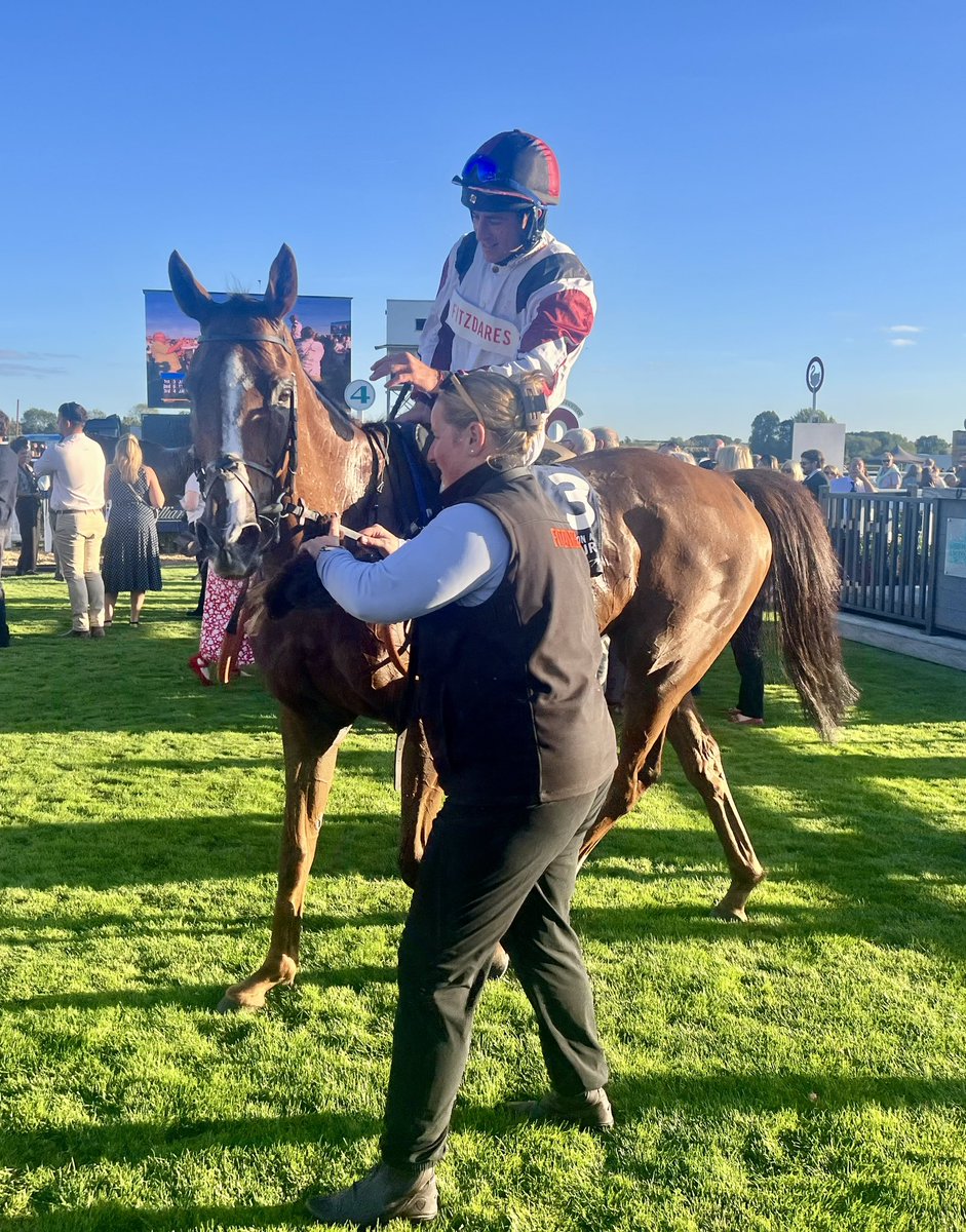 ValueRacingClub's tweet photo. Jackstell wins under a strong @GavinSheehan92 ride and lands plenty of tasty bets for his owners @stratfordraces. A great team effort @jamiesnowden @Alexwalters89. Few niggles ironed out and a job v well done. https://t.co/QbDv3ZOYpu