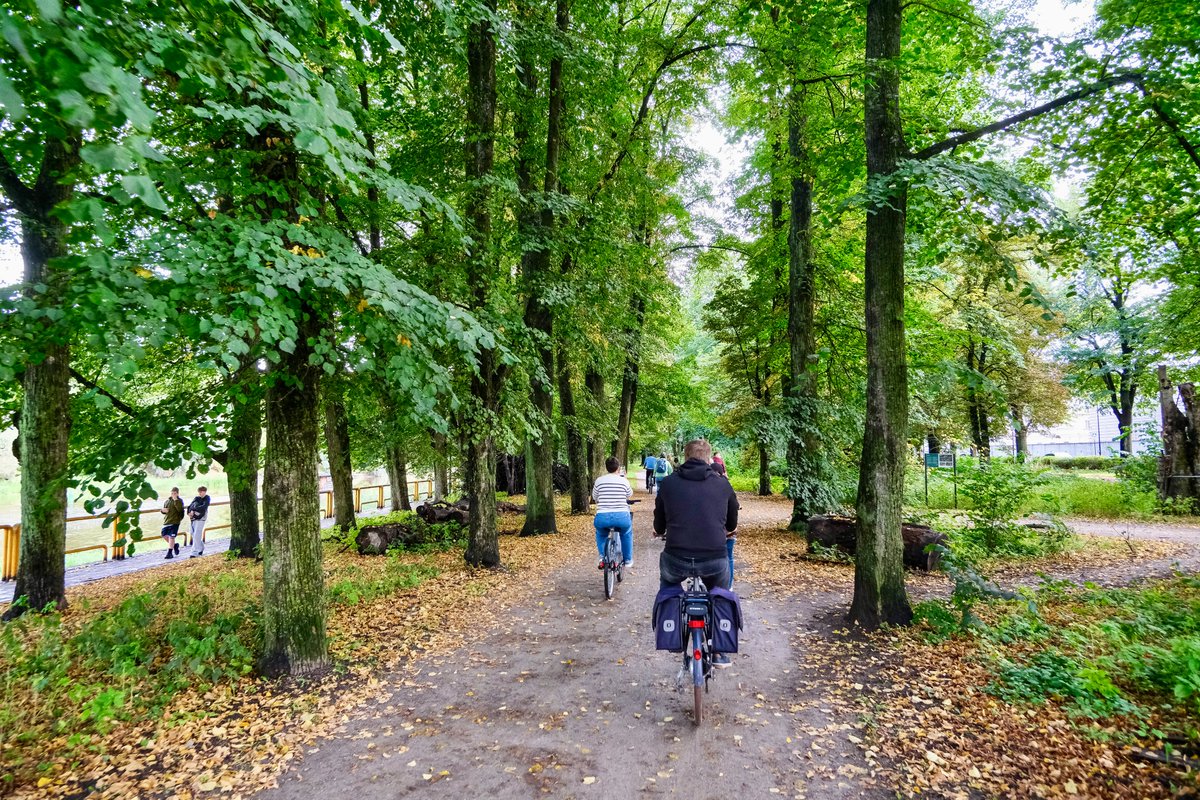 Cyclists in casual autumn attire ride along dedicated cycling infrastructure lined with buildings and trees on the streets of Tallinn, Estonia.