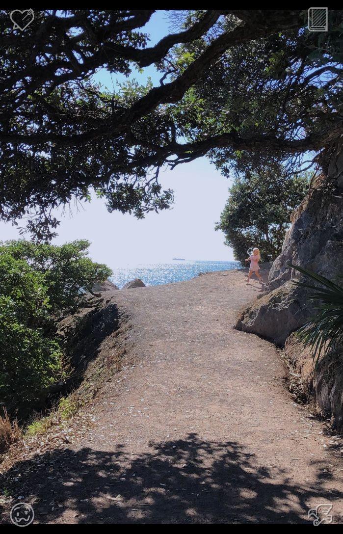 coolcat20799090's tweet photo. 🌓Kiwi compote A refreshing flavor with a cozy coreAs the autumn afternoon light and shadows shift gently, there’s ample time to savor beauty and unwind at a relaxed pace. https://t.co/HMXn8eAjDi