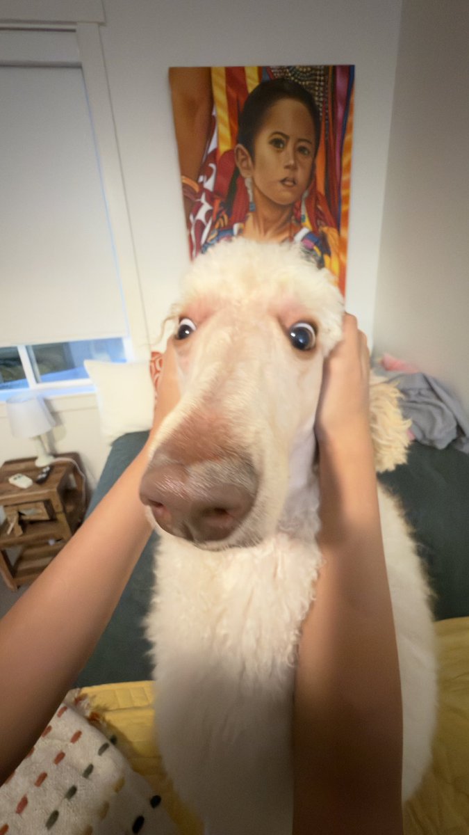 korrilakitty's tweet photo. twt be pushing the satire twts https://t.co/YfHc1SKKjG