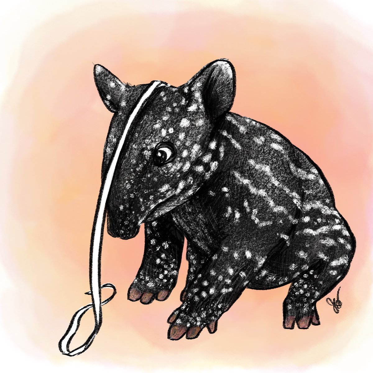 isa_shokora's tweet photo. 小馬來貘量身長， 我畫一下
the baby malayan tapir is being measured
身長を測られてるマレーバクちゃん
키를 재고 있는 말레이맥
#香港 #台湾 #hongkong #taiwan #life #生活 #日常 #drawing #illustration #絵 #マンガ #comics #イラスト #procreate # #malayantapir https://t.co/okH0tHMg7W