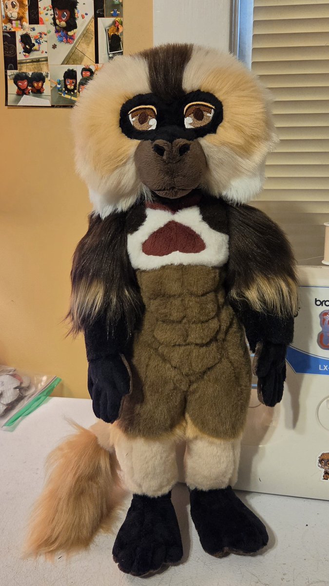 StoneMonkeh's tweet photo. This full custom big boi is on his way home! There are some gorgeous simian species out there. This fella is a Gelada, also known as a Bleeding Heart Baboon. Standing custom for size comparison!
#stonemonkeh #plushies #commissions #monkeyOC https://t.co/iCselX7AvQ