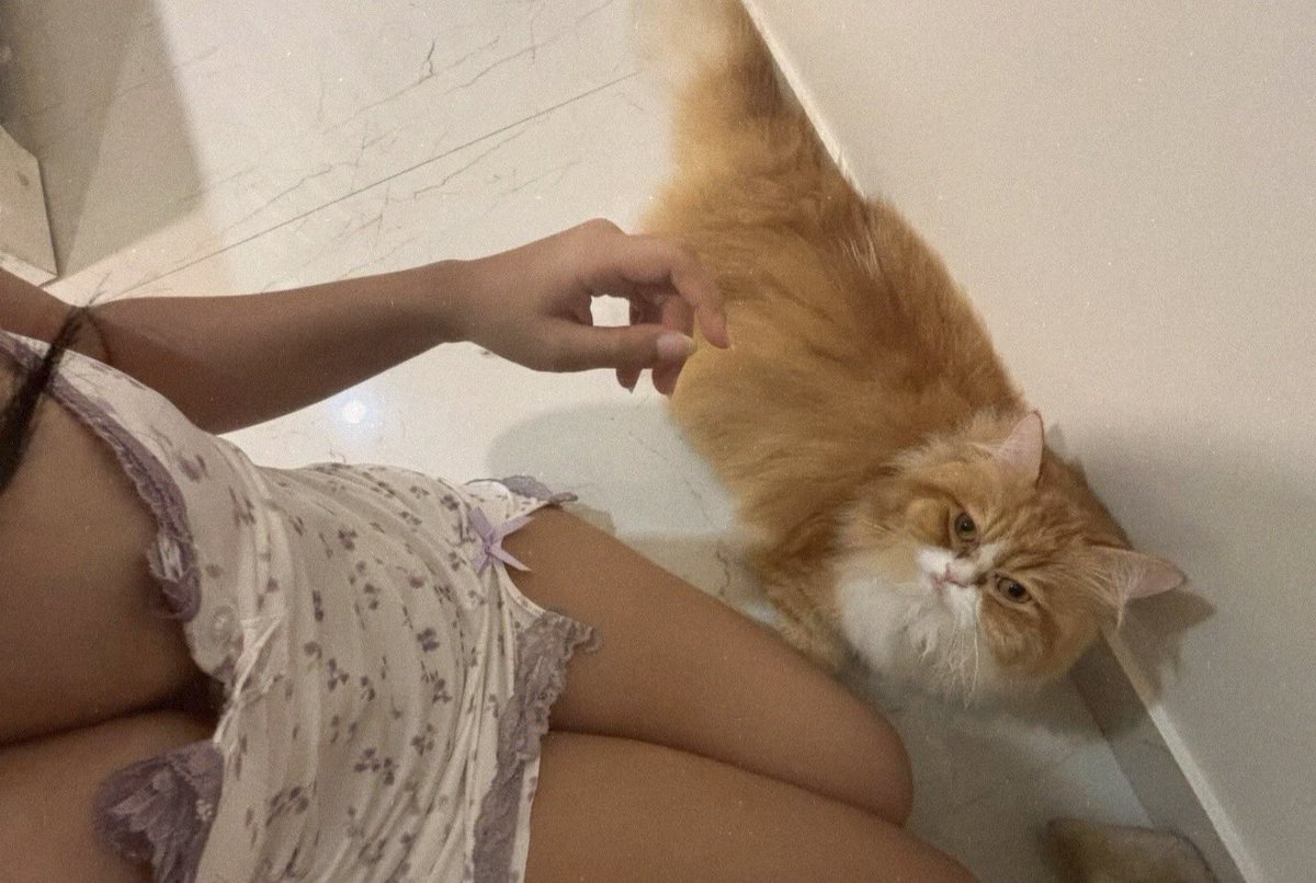 aybb0788's tweet photo. 💗🐱 https://t.co/HRYORSBRGi