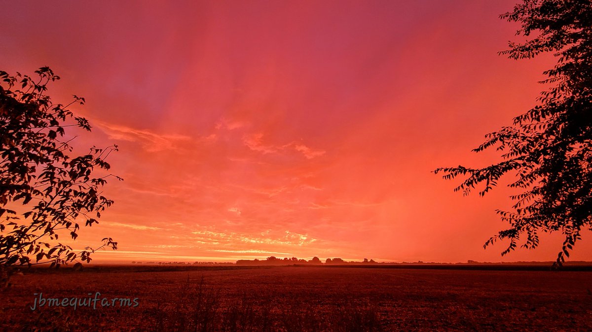 JBMEquiFarms's tweet photo. A few more from this morning's sunrise here in #Manitoba
#mbwx #morningview #prairiesky #mybackyard #horses #sunrise https://t.co/nt4V9K0BgJ