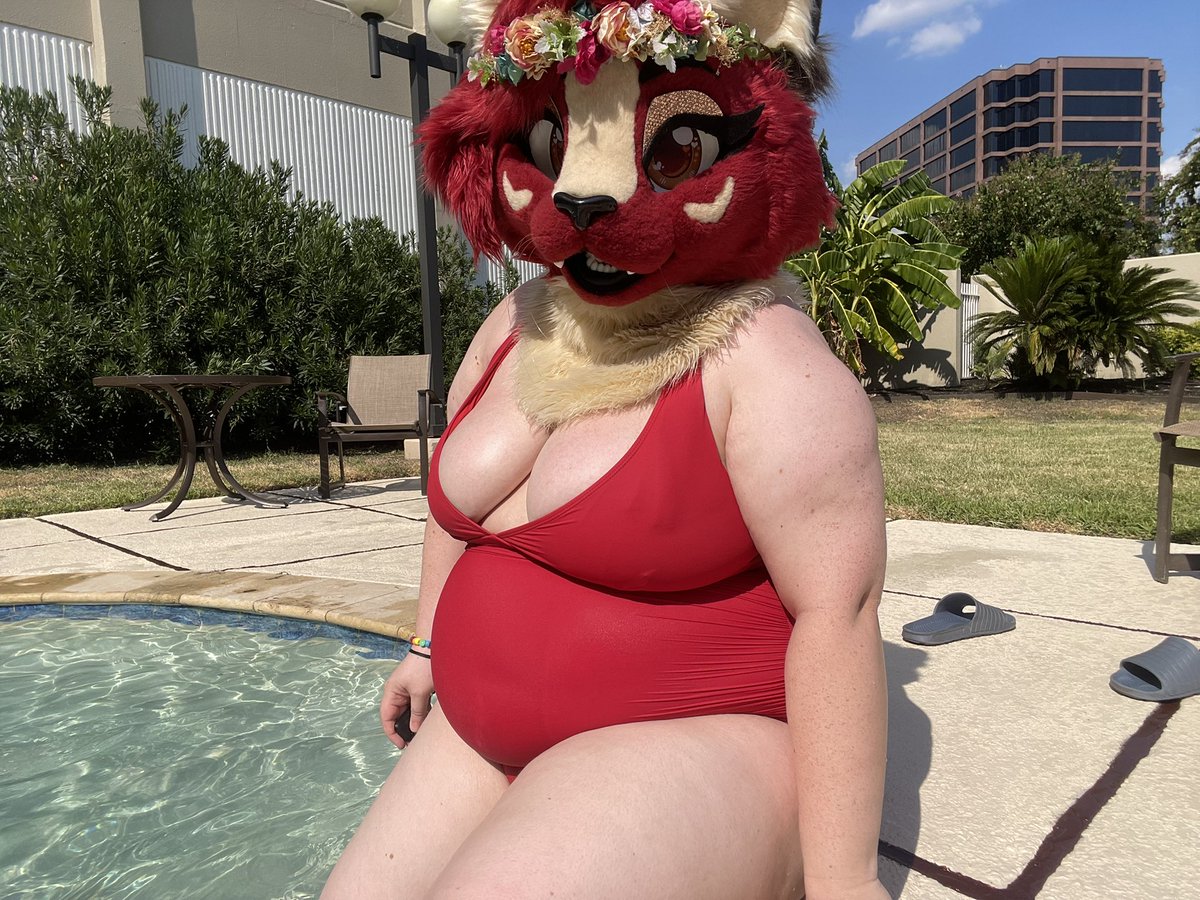 marciepaws's tweet photo. Wanna chill at the pool with me?🌊 https://t.co/Ga0mAKeZdZ