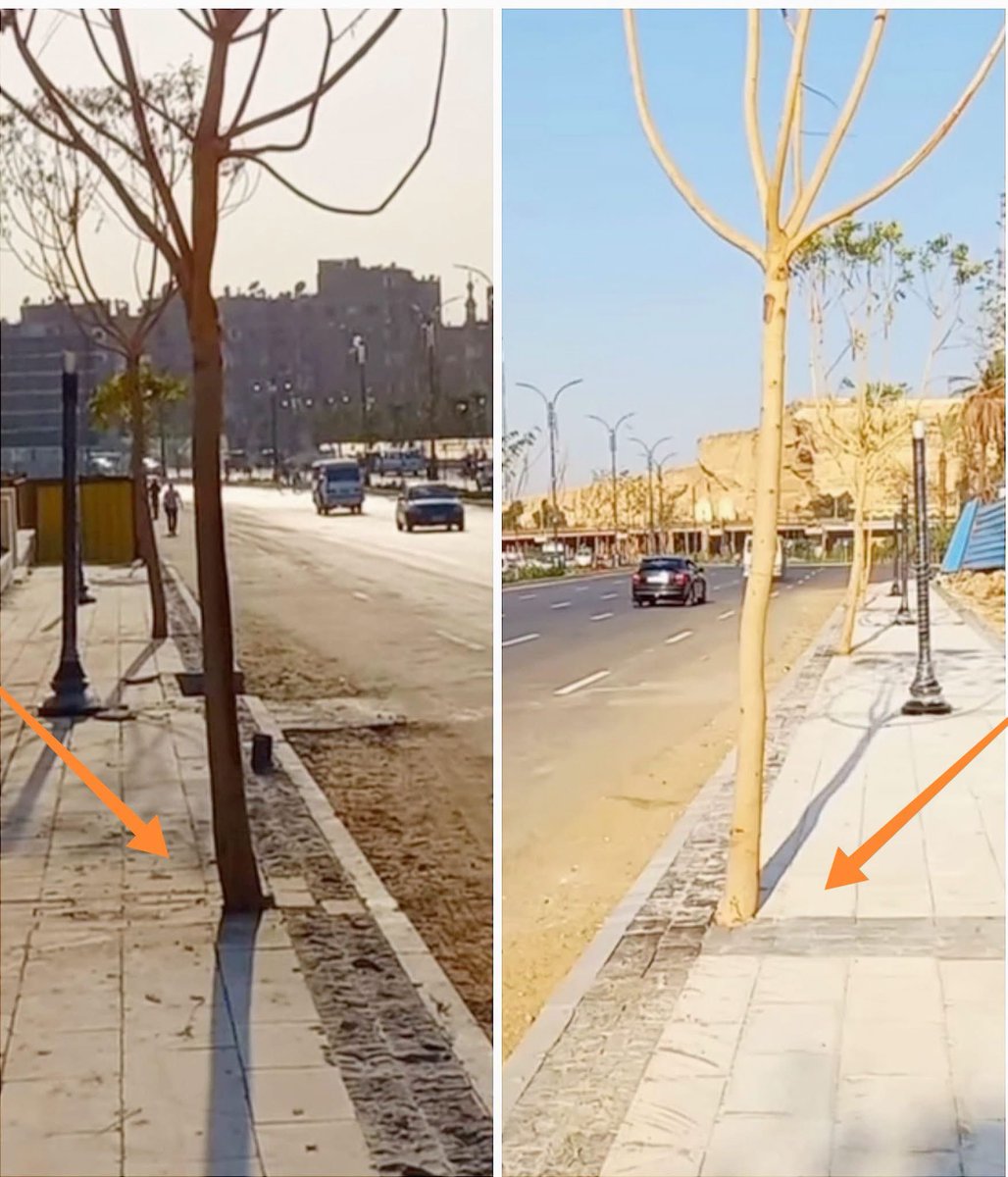 shawky281's tweet photo. الشجر بيحتاج H2O يا سيادة اللواء و دي حاجة مش محتاجة اكتر من ٥٠٪ علشان تعرفها . https://t.co/pAhi7V5gCp